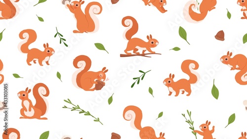 Cute squirrel pattern. Forest wildlife, cartoon red squirrels vector seamless texture