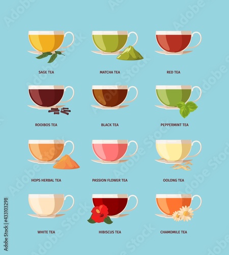 Tea types. Different drinking beverage products in glass cups tasty morning hot tea black green red rooibos garish vector helthy liquids