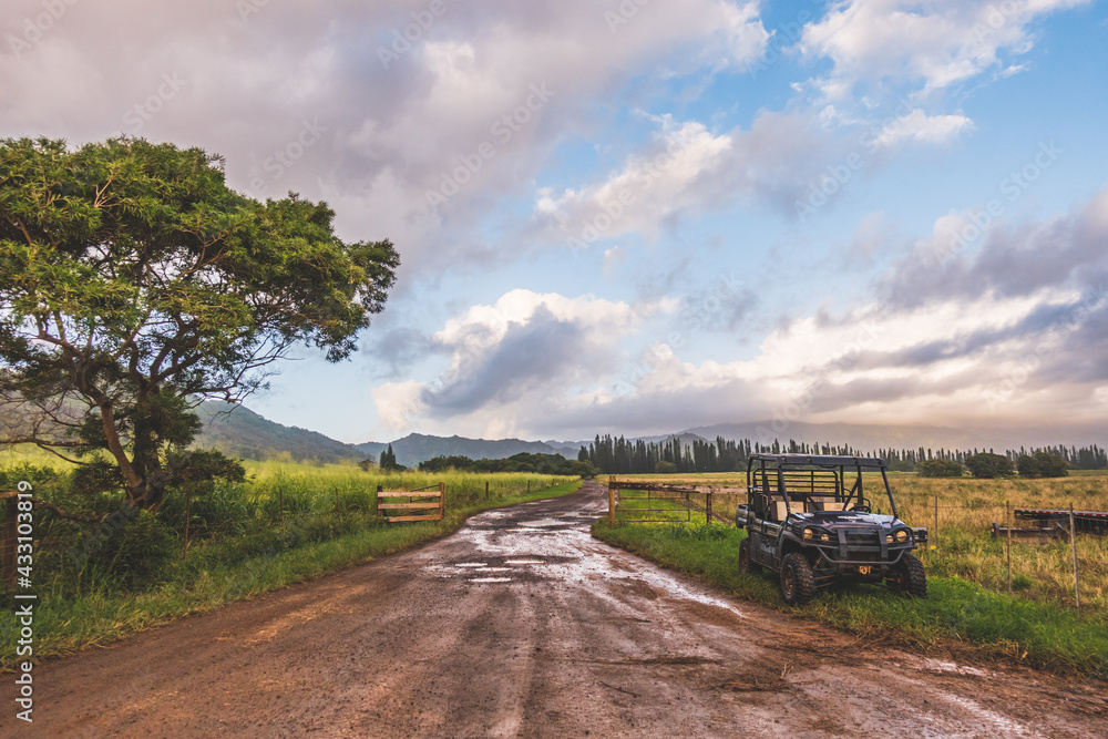 scenic view of dirt road in tropical landscape with clouds and sky. scenic view of dirt road in tropical landscape with clouds and sky.