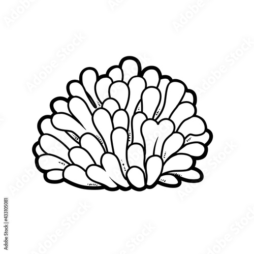 Round anemone coloring book linear drawing isolated on white background