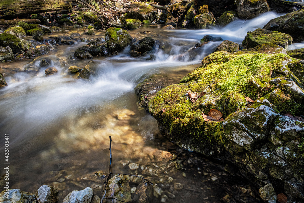 Flowing creek, Velky Sokol gorge, Slovak Paradise national park Flowing creek, Velky Sokol gorge, Slovak Paradise national park