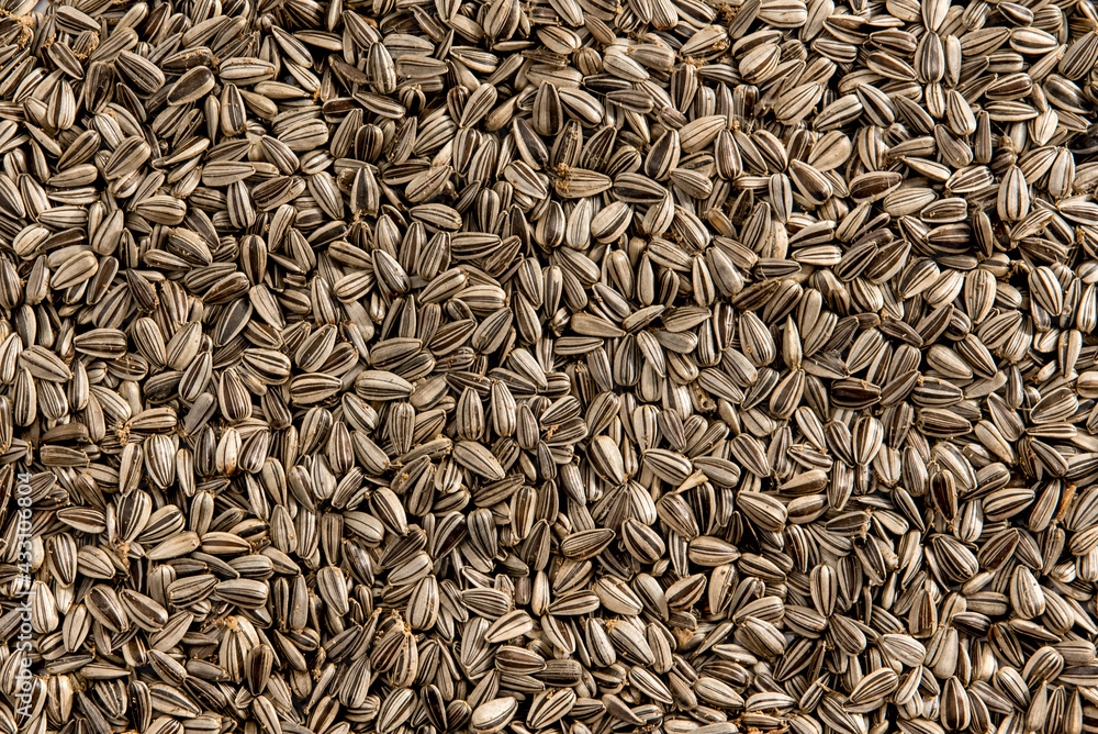 Sunflower seeds texture background. Top view. Sunflower seeds texture background. Top view.