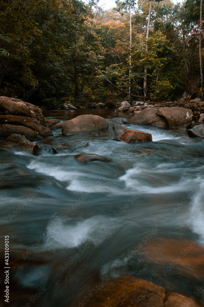 Fototapeta premium Rio na floresta