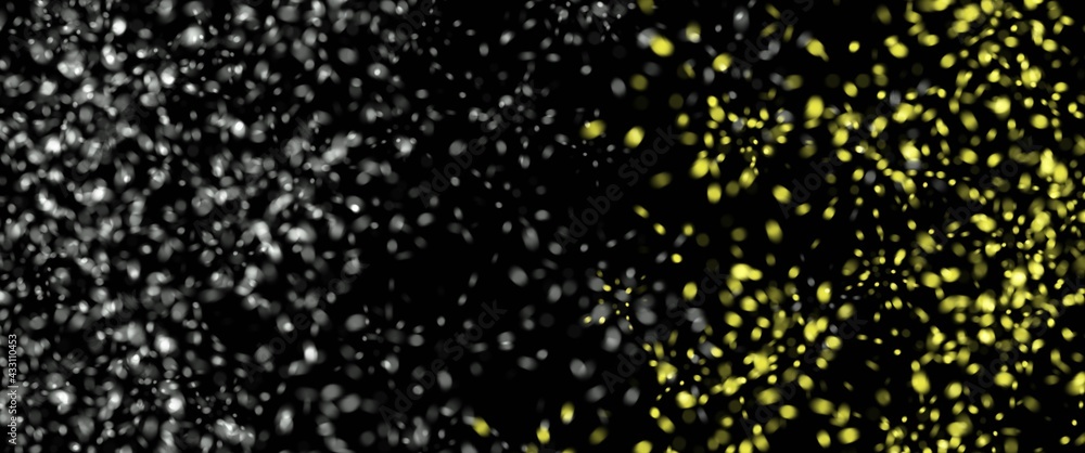 rain drops on the window rain drops on the window