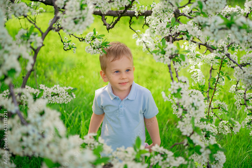 funny little boy on the lawn in the flowering spring garden. happy childhood. funny little boy on the lawn in the flowering spring garden. happy childhood.