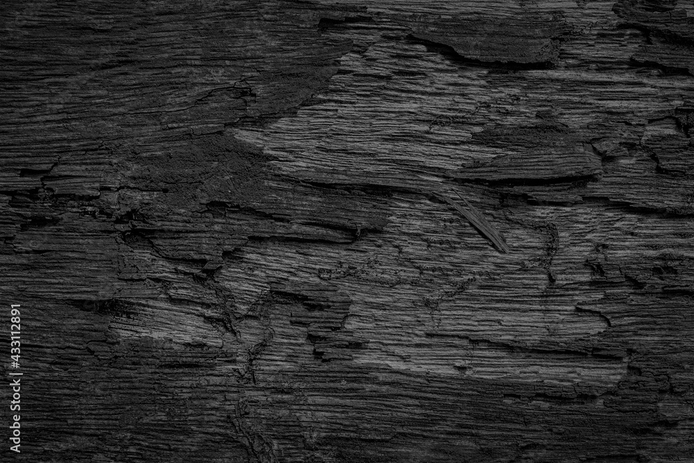 Obraz premium Relief&nbsp;decayed&nbsp;flaked&nbsp;shanty&nbsp;facade.&nbsp;Old&nbsp;shabby&nbsp;gnarled&nbsp;dirty&nbsp;rind&nbsp;of&nbsp;ancient&nbsp;rural&nbsp;country&nbsp;wooden&nbsp;raw&nbsp;siding.Messy&nbsp;aged&nbsp;rustic&nbsp;laths.Grungy&nbsp;pitted&nbsp;knotted&nbsp;cracked&nbsp;log&nbsp;retro&nbsp;fence&nbsp;for&nbsp;ranch&nbsp;hut&nbsp;design