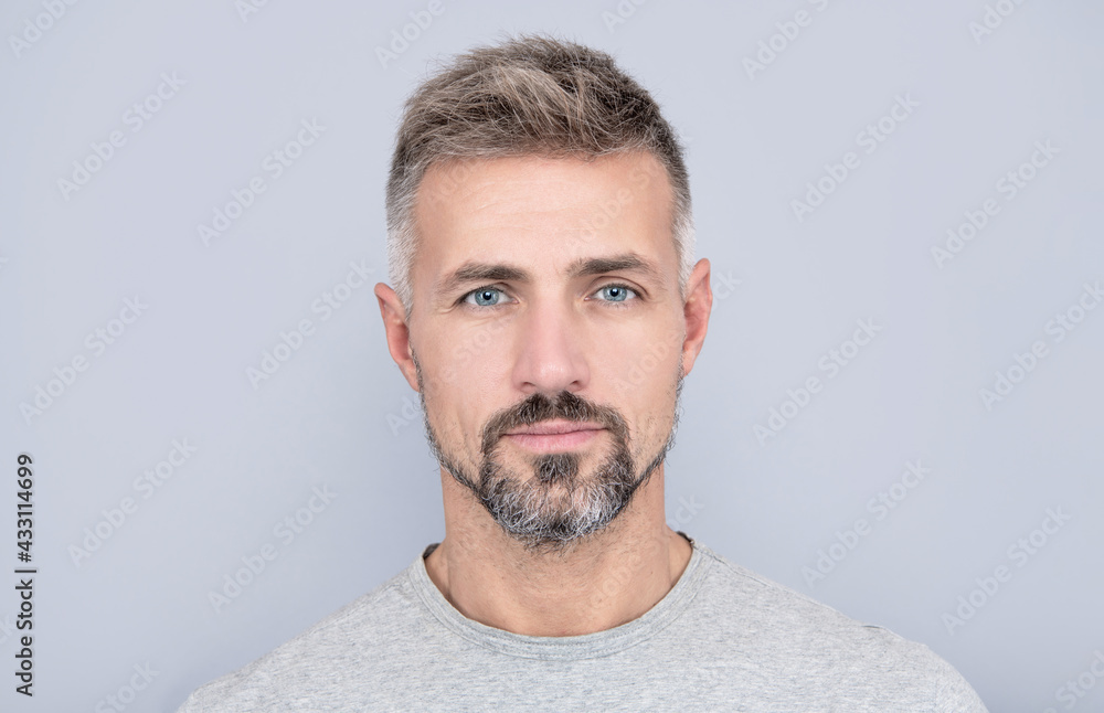 Obraz premium portrait of mature man. adult guy has graying hair. handsome man with grizzled beard.