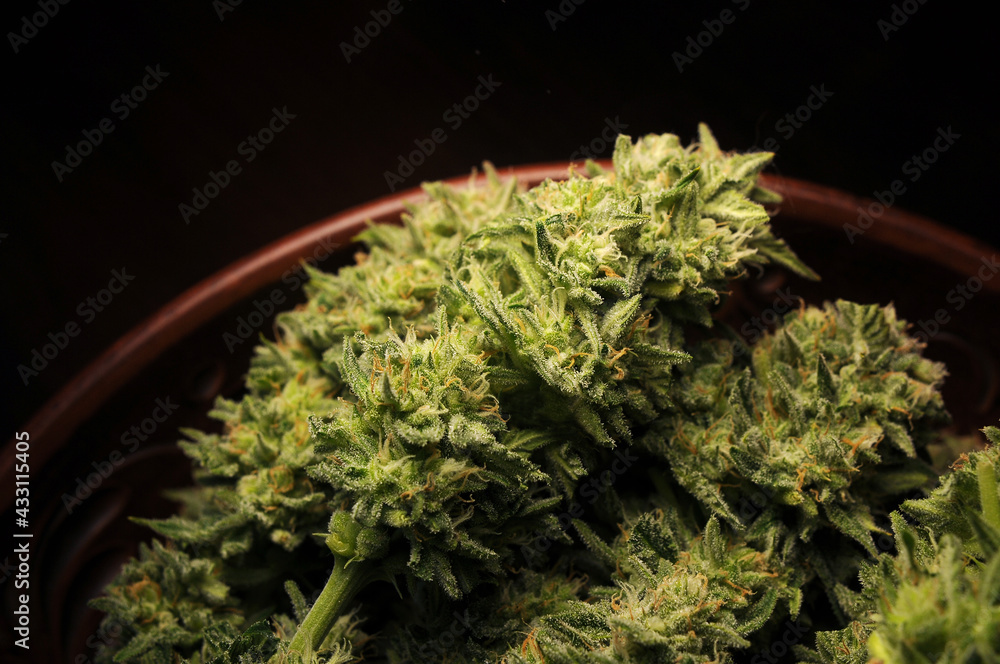 Marijuana buds in a dish. Cannabis flowers on black background. Weed