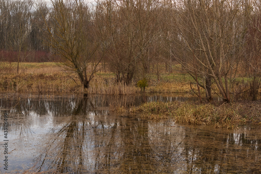 Calm surface of the pond. There are trees reflected in the water. Calm surface of the pond. There are trees reflected in the water.