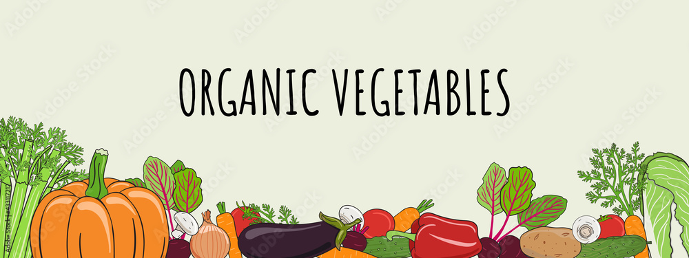 Vegetables wide frame. Organic market banner and healthy food template ...