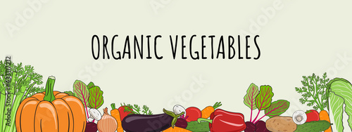 Vegetables wide frame. Organic market banner and healthy food template. Concept of fresh farm products. Hand drawn vector illustration.