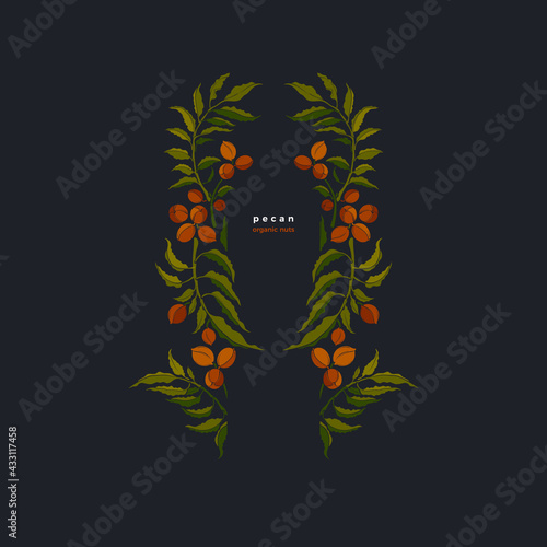 Pecan tree, nut. Vector frame. Green silhouette