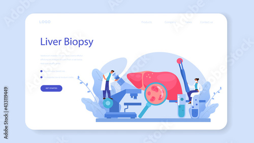 Hepatologist web banner or landing page. Doctor make liver examination