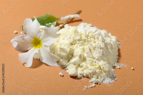 Konstfotografi Dried Royal jelly powder on orange background.