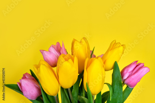 Spring flowers, bouquet of pink tulips on yellow background copy space.