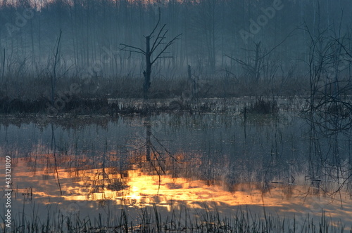Wschód nad moczarami 