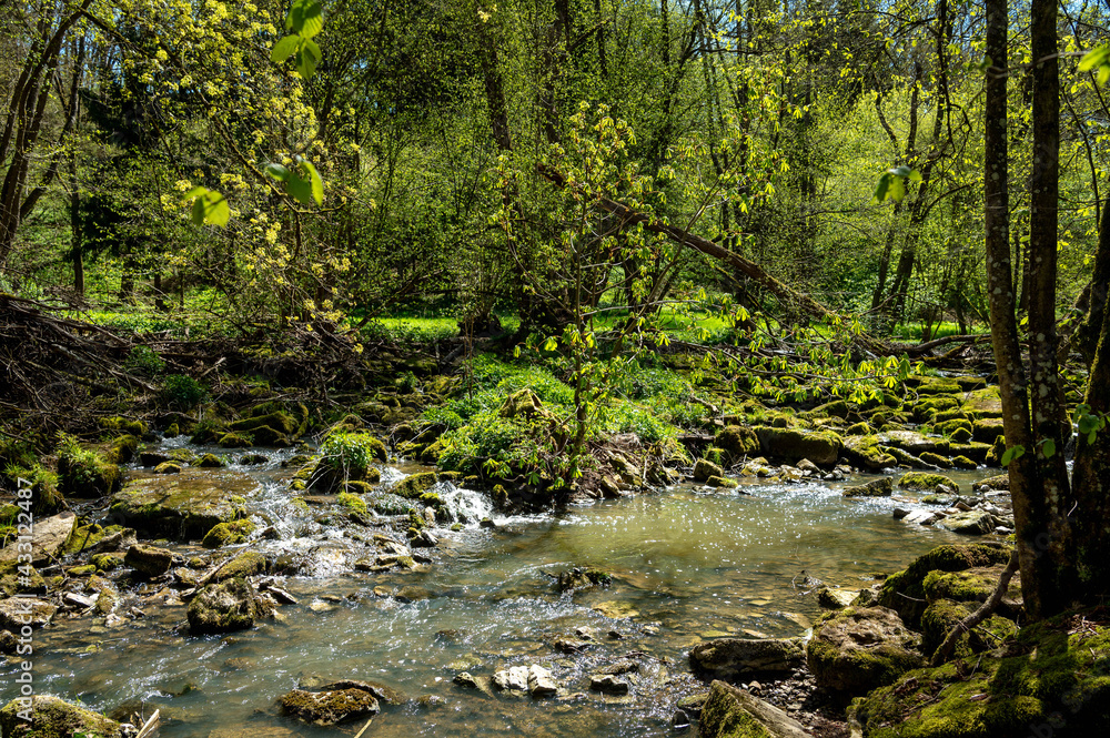 Fluss Schandtauber im Frühling bei Rothenburg