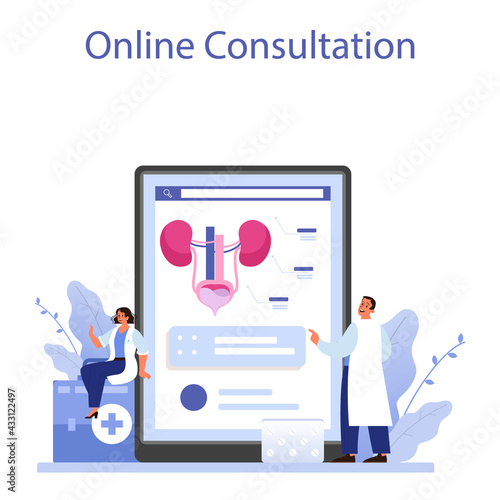 Urologist online service or platform. Idea of kidney and bladder examination