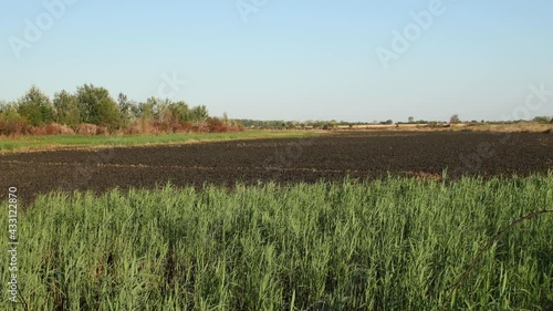 Large patch of birds habitat burned by fire out of control from agricultural burning