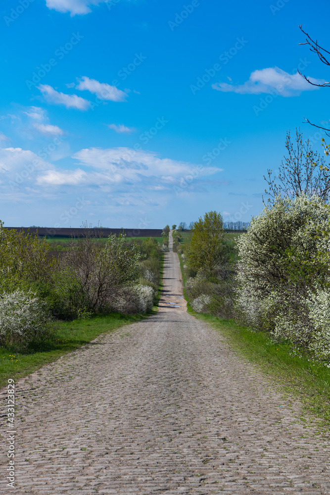 paved rural road in spring
