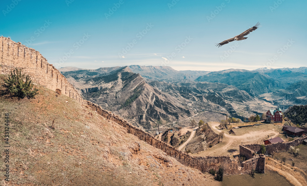 The Gunib fortress is a historical monument of Dagestan. Eagles fly over the old fortress.