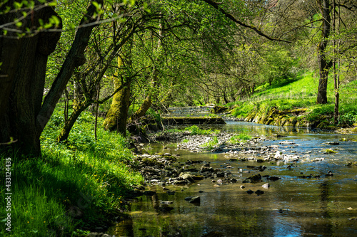 Fototapeta kuchenna Fluss Schandtauber im Frühling bei Rothenburg
