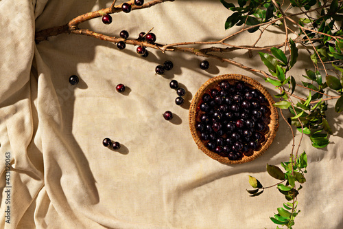 Jabuticaba fruits on a fabric base, with jabuticaba branch, sunlight, top view. Copy space