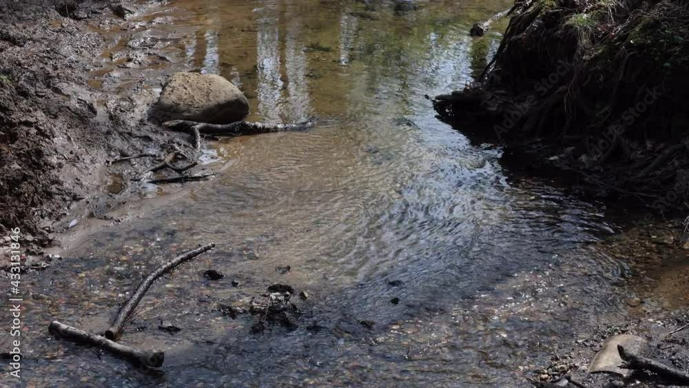 A Spring Forest Creek With Run Water, Tree Branches Lying After Winter, With The Sound Of Rushing Water. A Spring Forest Creek With Run Water, Tree Branches Lying After Winter, With The Sound Of Rushing Water.