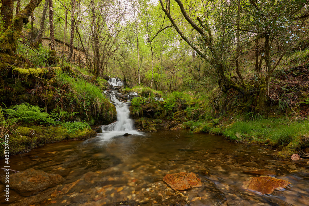 Waterfall in a beautiful forest in the area of Galicia, Spain. Waterfall in a beautiful forest in the area of Galicia, Spain.