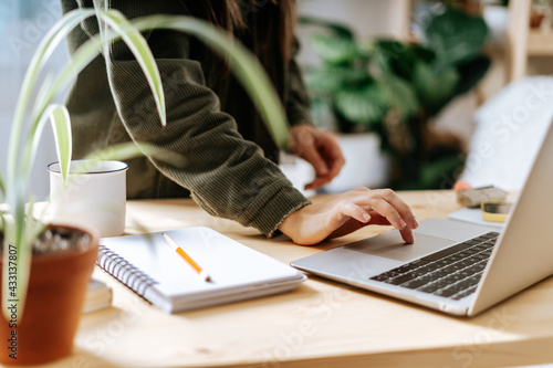 Close up oh Freelance woman hands typing at laptop and working from home office with plants. Cropped girl on workplace at the desk. Distance learning online education and work.