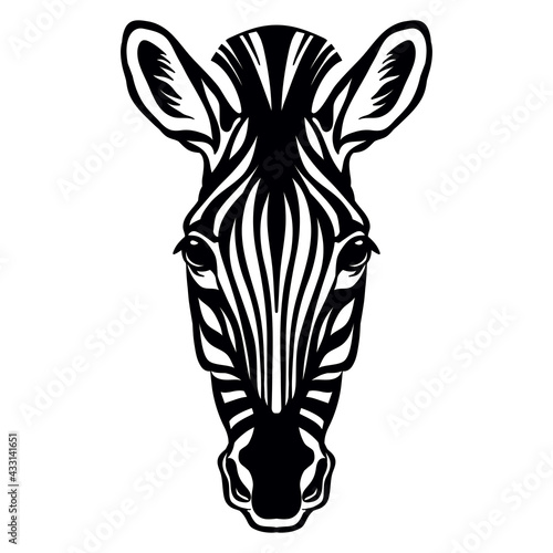 Vector head of mascot zebra head isolated on white