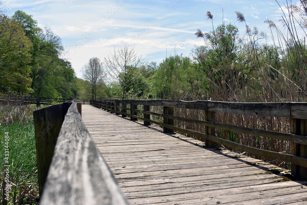 wooden bridge over river