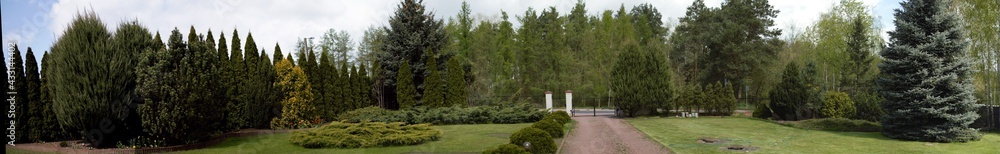 Panoramic view of home garden with brick road, gate and many green plants