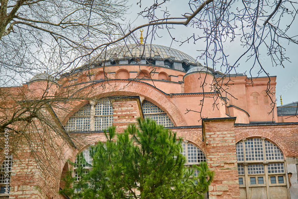 Hagia sophia (ayasofya) mosque, church, or museum under huge clouds. Facade of ancient building made of red bricks wall and it is behind the withered branches of tree and green pine tree.