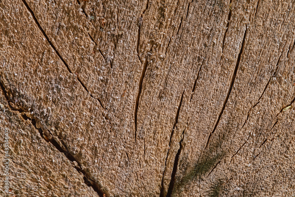 textured wood background, brown cut wood textured wood background, brown cut wood