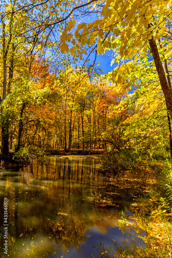 Quiet flows the creek inside the forest on a beautiful fall day, Central Canada, ON, Canada Quiet flows the creek inside the forest on a beautiful fall day, Central Canada, ON, Canada