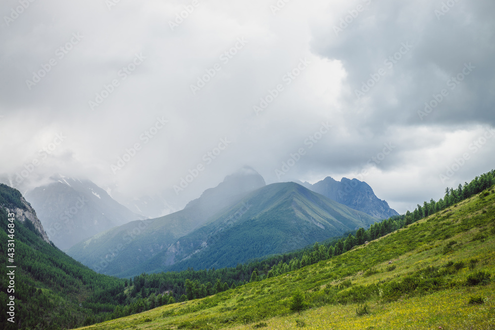 Dramatic vivid mountain landscape with green forest under pointed peak among rainy low clouds. Scenic alpine view to sharp mountain pinnacle under cloudy sky in overcast weather. Mountains scenery.