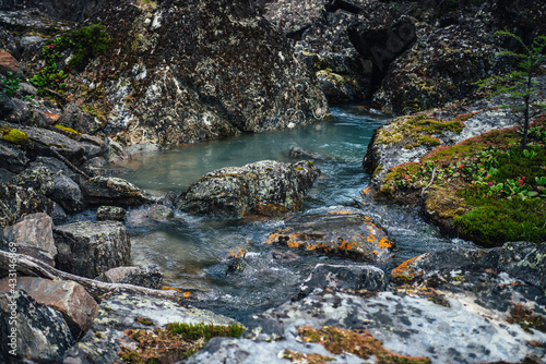 Scenic nature background of turquoise clear water stream among rocks with mosses  lichens and wild flora. Atmospheric mountain landscape with transparent mountain creek. Beautiful mountain stream.