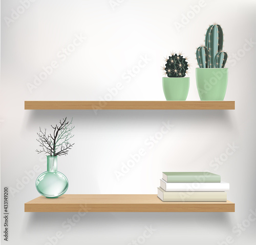 Vector wooden shelves with plants, books and glass retro vase. Vector mockup for interior with shelves and light wall