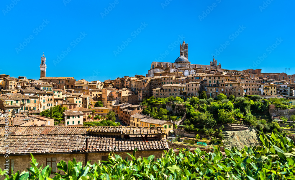 Fototapeta premium View of the medieval city of Siena in Italy