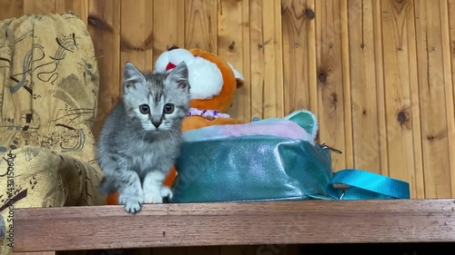 A small gray kitten jumps off the table on which there is a children's toy and a children's portfolio