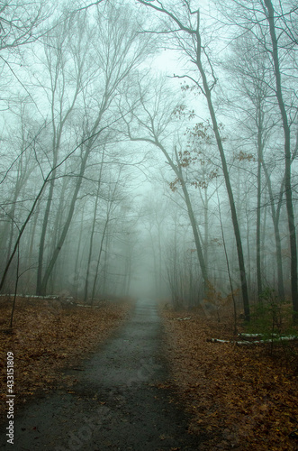 haunted path
