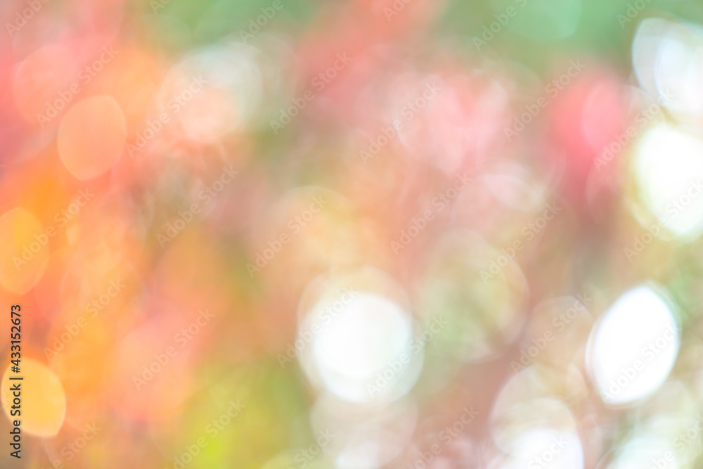 Bokeh light of various colored leaves and flowers