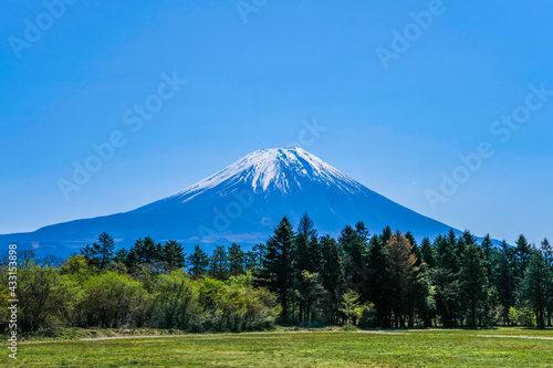 静岡県朝霧高原からの富士山