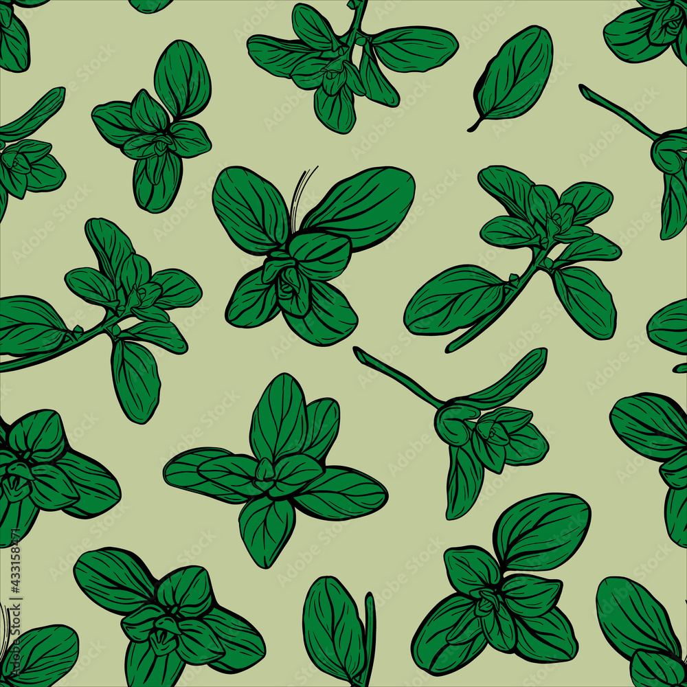 Basil Seamless Pattern. Italian herbs. Marjoram pattern. Hand-drawn illustration Basil Seamless Pattern. Italian herbs. Marjoram pattern. Hand-drawn illustration