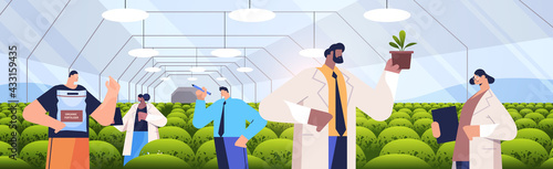 mix race agricultural engineers researching plants in greenhouse agriculture scientist smart farming