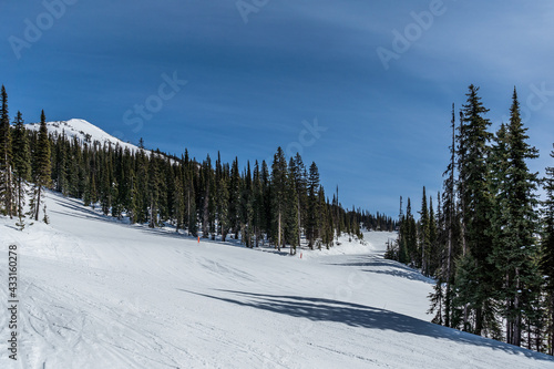 ski resort trail covered in snow and tall green trees mountain in background revelstoke british columbia