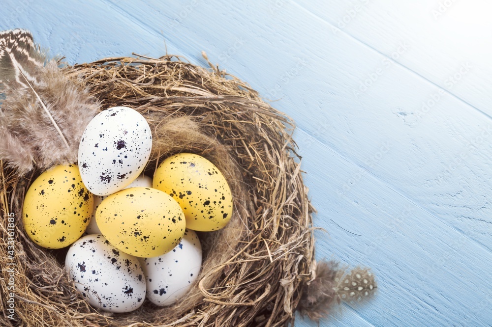 Obraz premium Easter.