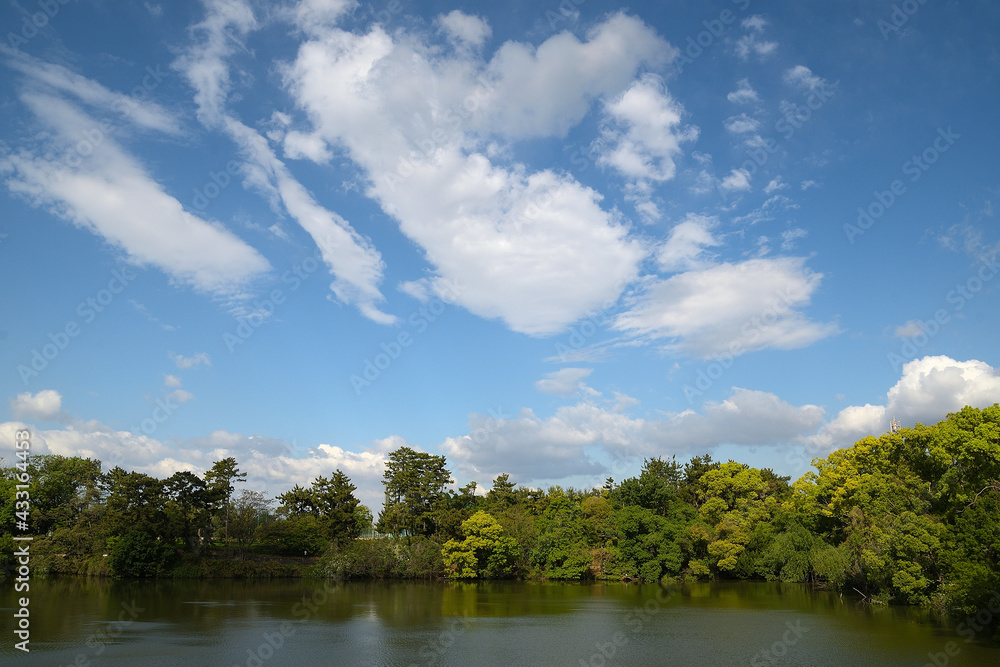林の木々に若葉が繁り、吹き抜ける強い風で水面が波立ち、空に浮かぶ雲が流されている公園の風景