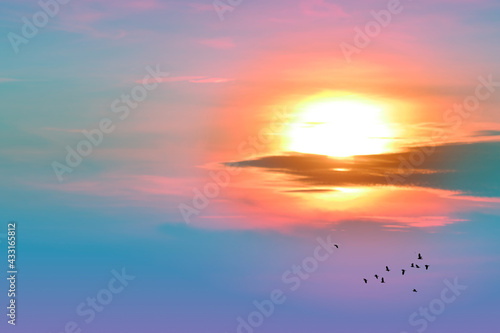 sunset back on the evening light pastel cloud on sky and birds flying to home